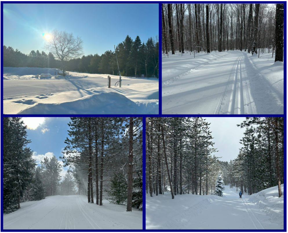 Forbush Skiing 