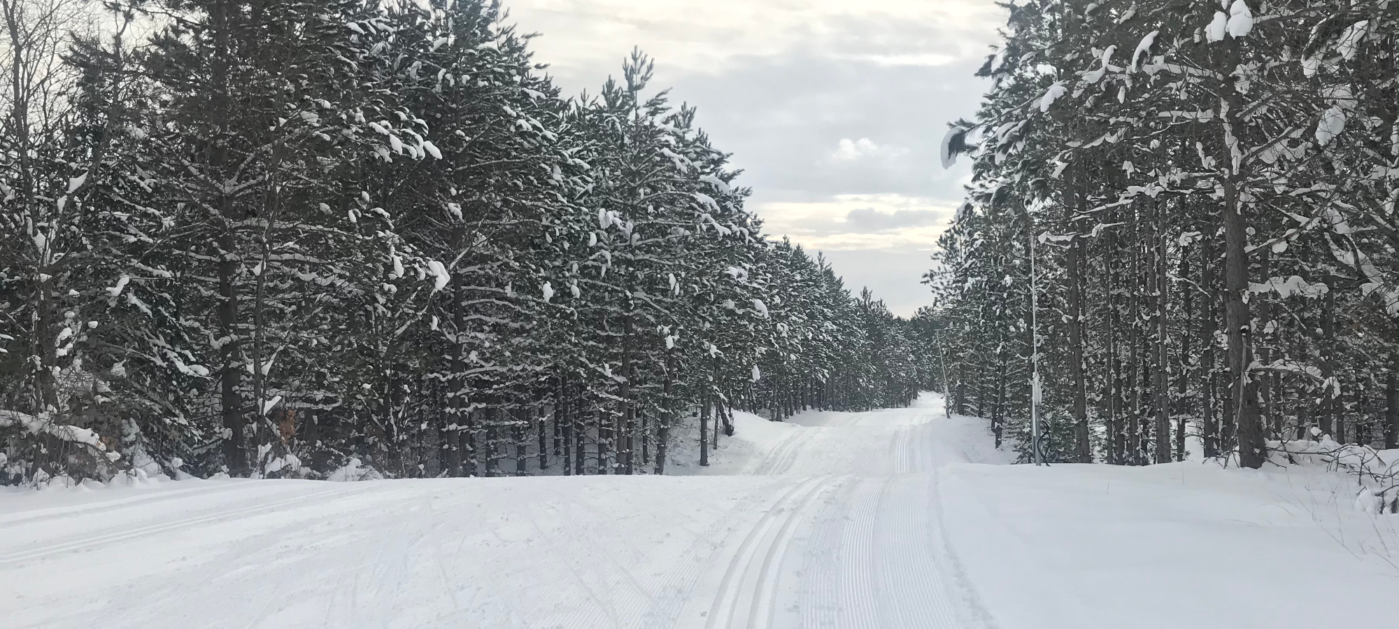 Snowmaking Loop Forbush Corner Nordic