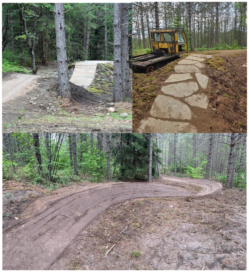 MTB Trail development
